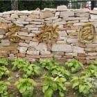 調(diào)查：名都園小區(qū)解聘物業(yè)公司遭街道辦和法院否決，北京這個別墅業(yè)主很不解